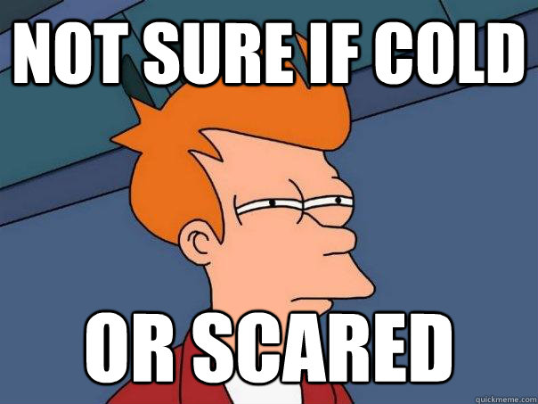 Not sure if cold or scared  Futurama Fry