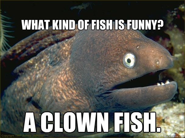 
What kind of fish is funny? a clown fish.  Bad Joke Eel