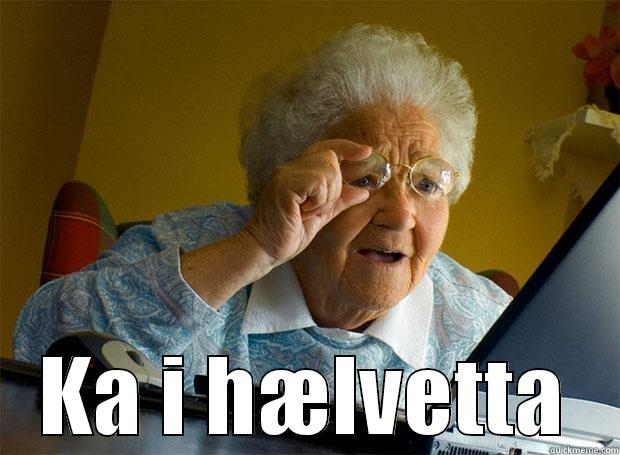  KA I HÆLVETTA Grandma finds the Internet