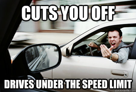 cuts you off drives under the speed limit  Asshole driver