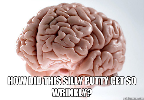  how did this silly putty get so wrinkly?  Scumbag Brain