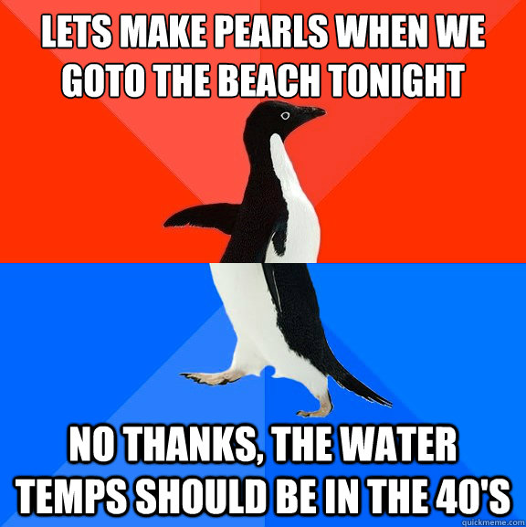 Lets make pearls when we goto the beach tonight no thanks, the water temps should be in the 40's  Socially Awesome Awkward Penguin