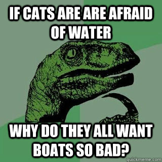 If cats are are afraid of water    why do they all want boats so bad?  