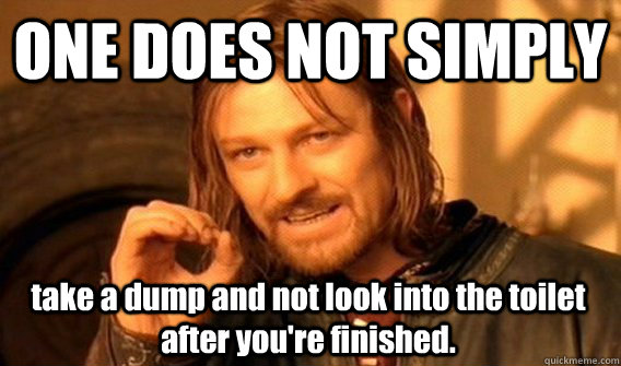 ONE DOES NOT SIMPLY take a dump and not look into the toilet after you're finished.   One Does Not Simply