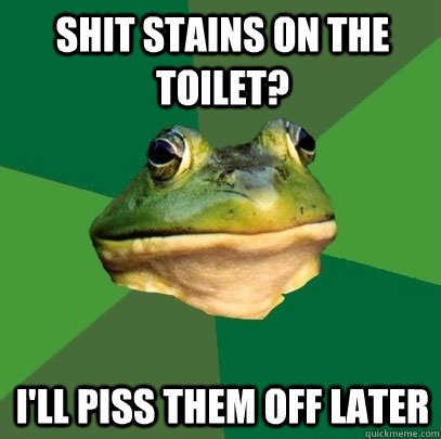 Shit Stains on the toilet? I'll piss them off later  Foul Bachelor Frog