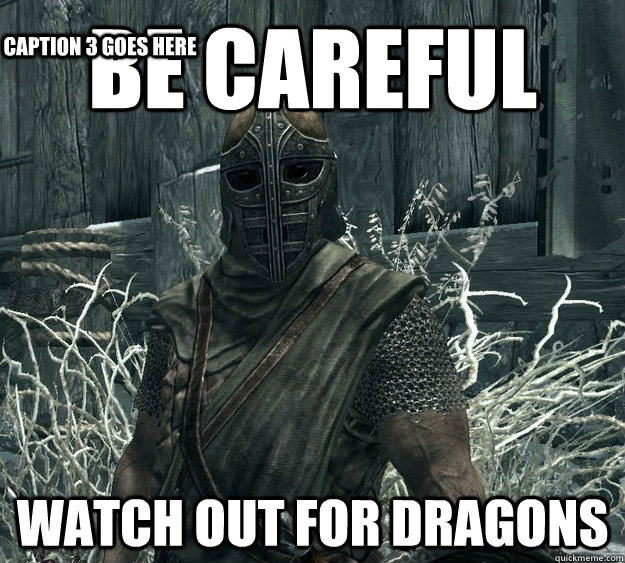 Be Careful watch out for dragons Caption 3 goes here  Rational Skyrim Guard