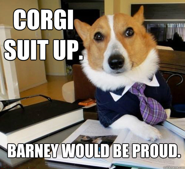Corgi Suit Up. Barney would be Proud.  Lawyer Dog