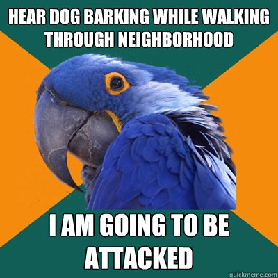 hear dog barking while walking through neighborhood I am going to be attacked - hear dog barking while walking through neighborhood I am going to be attacked  Paranoid Parrot