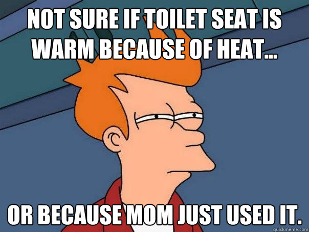not sure if toilet seat is warm because of heat... or because mom just used it.  Futurama Fry