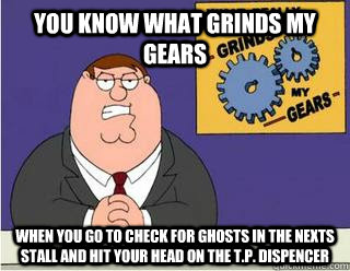 You know what grinds my gears When you go to check for ghosts in the nexts stall and hit your head on the T.P. dispencer  