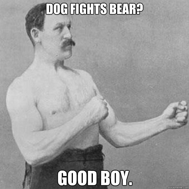 dog fights bear? good boy.  overly manly man