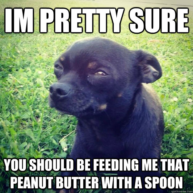 Im Pretty sure You should be feeding me that peanut butter with a spoon  Skeptical Dog