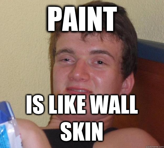 Paint Is like wall skin  10 Guy