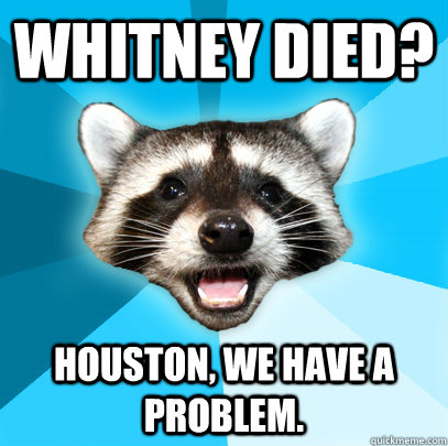WHITNEY DIED? HOUSTON, WE HAVE A PROBLEM.   Lame Pun Coon