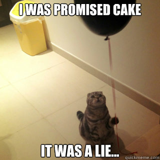 I was promised cake it was a lie...  Sad Birthday Cat