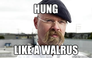 hung
 like a walrus  