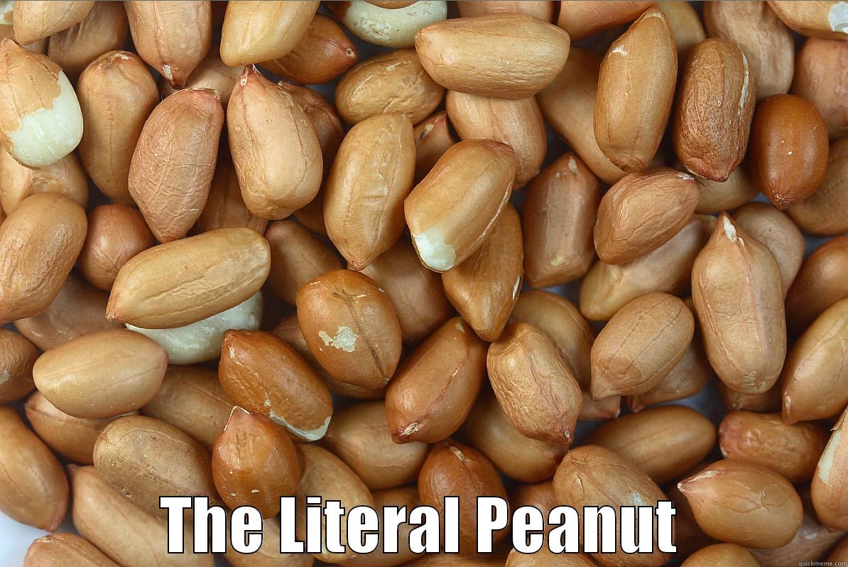  THE LITERAL PEANUT Misc