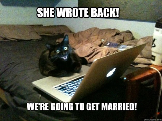SHE WROTE BACK! we're going to get married! - SHE WROTE BACK! we're going to get married!  excited computer cat