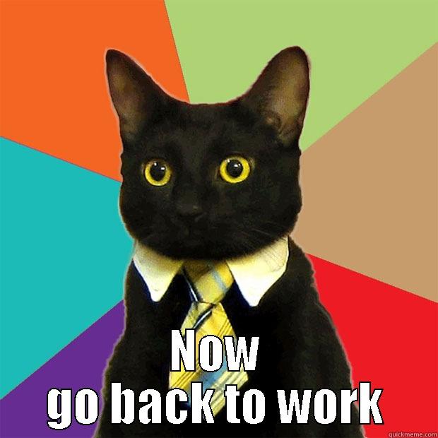  NOW GO BACK TO WORK Business Cat