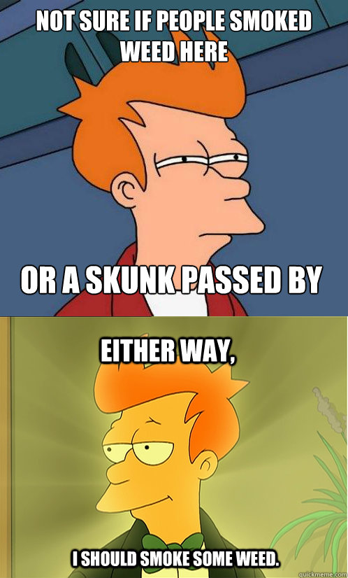 Not sure if people smoked weed here or a skunk passed by Either way, I should smoke some weed. - Not sure if people smoked weed here or a skunk passed by Either way, I should smoke some weed.  Enlightened Fry