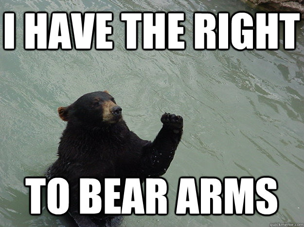 I have the right To bear arms  Vengeful Bear