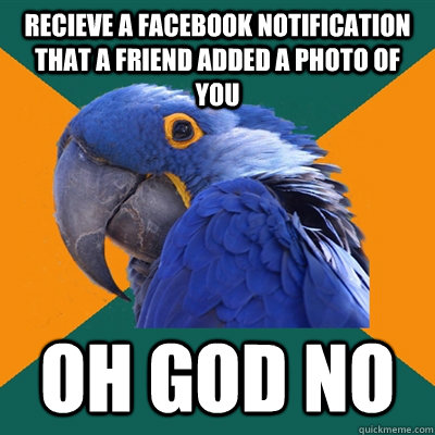 Recieve a facebook notification that a friend added a photo of you oh god no  Paranoid Parrot