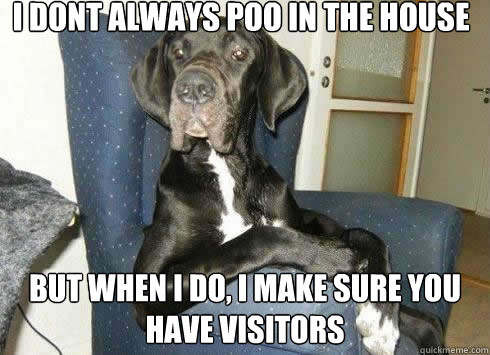 I dont always poo in the house but when i do, i make sure you have visitors  The Most Interesting Dog in the World
