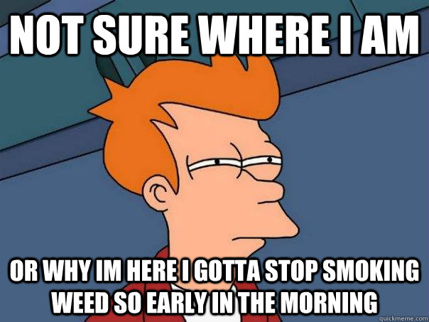 Not sure where i am Or why im here i gotta stop smoking weed so early in the morning   Futurama Fry