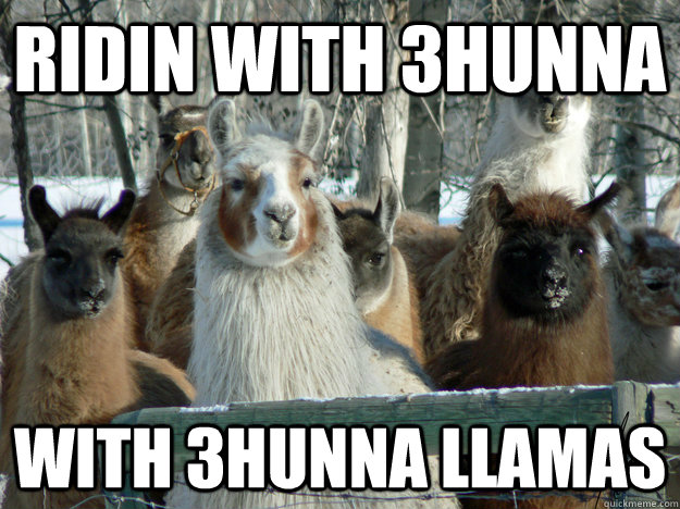 ridin with 3hunna with 3hunna llamas  