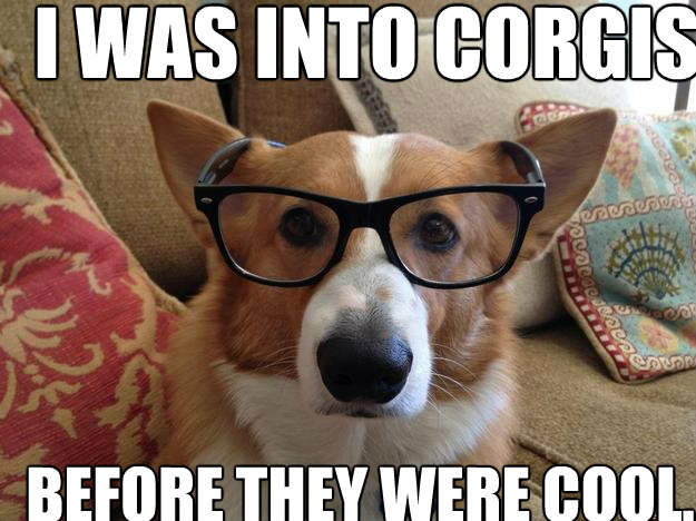 I was into Corgis Before they were cool. - I was into Corgis Before they were cool.  Hipster corgi