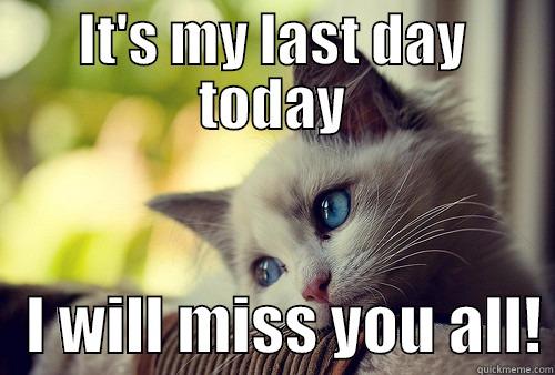 IT'S MY LAST DAY TODAY    I WILL MISS YOU ALL! First World Problems Cat