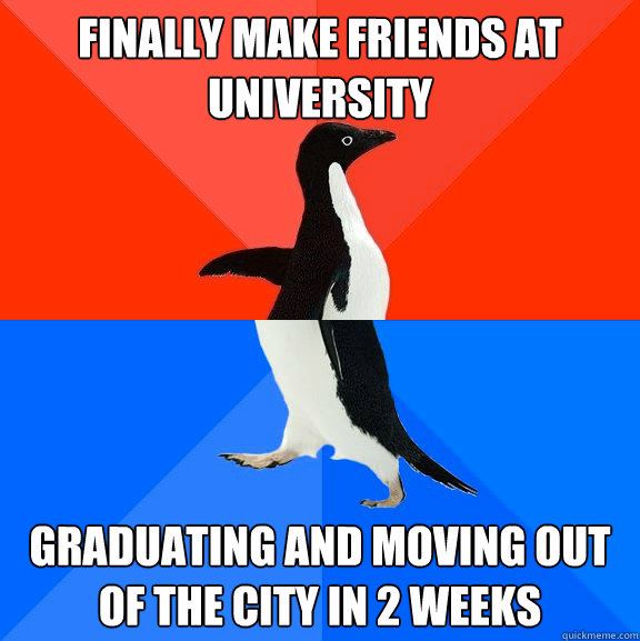 Finally make friends at university Graduating and moving out of the city in 2 weeks  Awesome Awkward Penguin