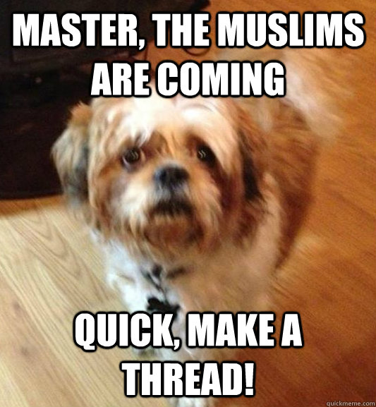 Master, the muslims are coming QUICK, make a thread!  