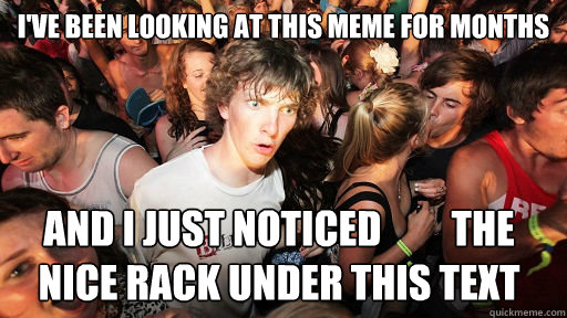 I'VE BEEN LOOKING AT THIS MEME FOR MONTHS AND I JUST NOTICED         THE NICE RACK UNDER THIS TEXT  Sudden Clarity Clarence