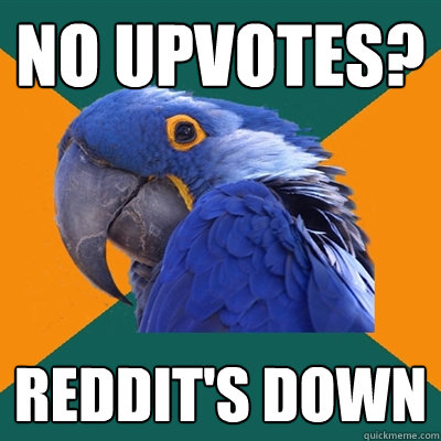 No upvotes? Reddit's down  Paranoid Parrot