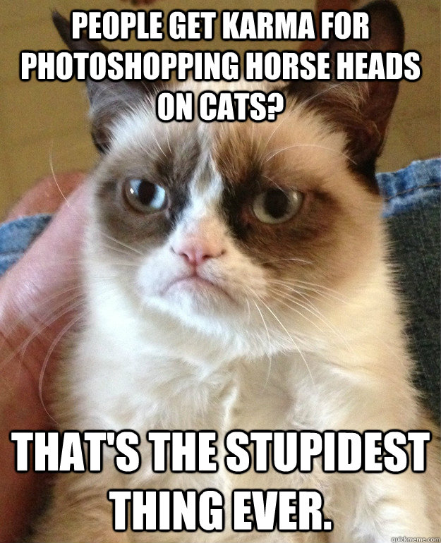 People get karma for photoshopping horse heads on cats? That's the stupidest thing ever. - People get karma for photoshopping horse heads on cats? That's the stupidest thing ever.  Misc