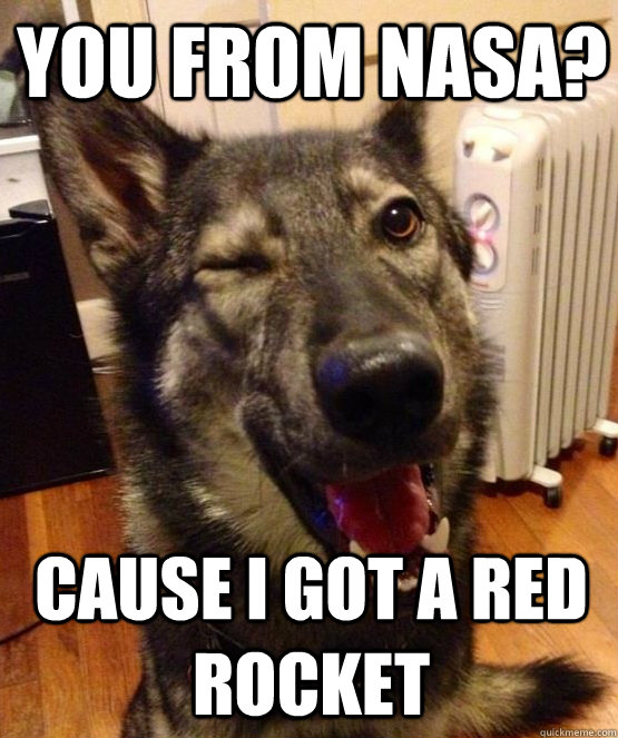 You from nasa? Cause I got a red rocket  Pickup Pup