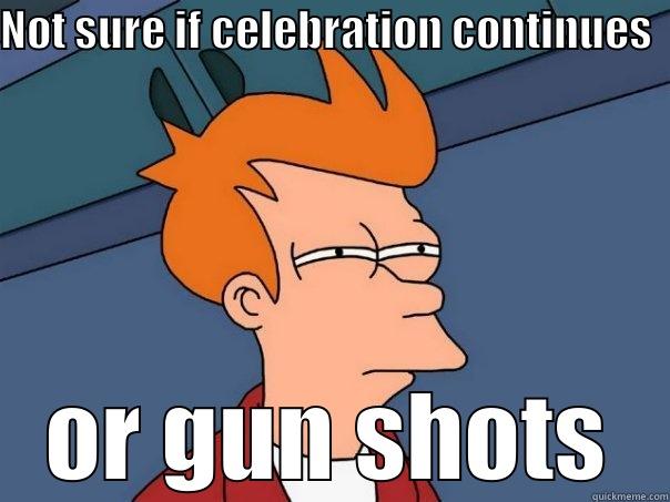 NOT SURE IF CELEBRATION CONTINUES  OR GUN SHOTS Futurama Fry