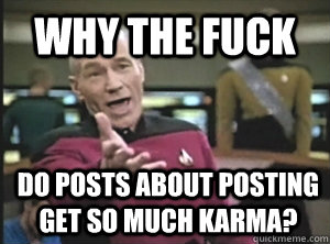 Why the fuck do posts about posting get so much karma?  Annoyed Picard