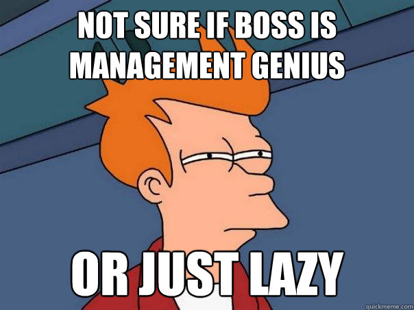 not sure if boss is management genius or just lazy  Futurama Fry