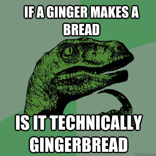 if a ginger makes a bread is it technically gingerbread  Philosoraptor