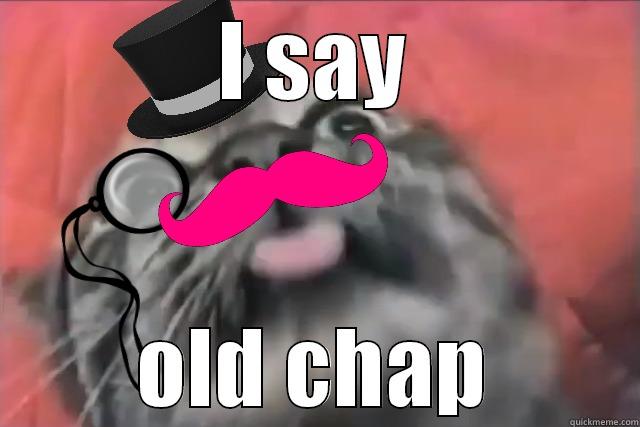 I SAY OLD CHAP Misc