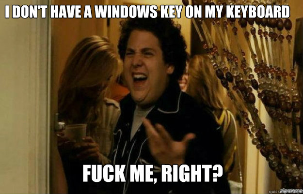 i don't have a windows key on my keyboard FUCK ME, RIGHT?  fuck me right