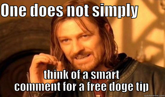 ONE DOES NOT SIMPLY          THINK OF A SMART COMMENT FOR A FREE DOGE TIP Boromir