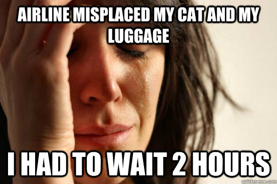 Airline misplaced my cat and my luggage I had to wait 2 hours  First World Problems