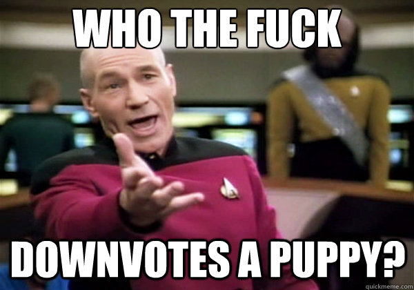 Who the fuck Downvotes a puppy?  Why The Fuck Picard