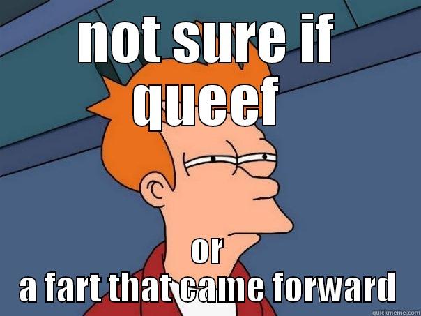 NOT SURE IF QUEEF OR A FART THAT CAME FORWARD Futurama Fry