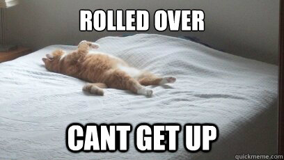 Rolled over Cant get up - Rolled over Cant get up  Fat Cat