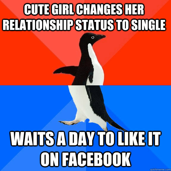 Cute Girl changes her relationship status to single Waits a day to like it on Facebook  Socially Awesome Awkward Penguin