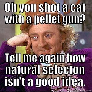 OH YOU SHOT A CAT WITH A PELLET GUN? TELL ME AGAIN HOW NATURAL SELECTON ISN'T A GOOD IDEA. Condescending Wonka